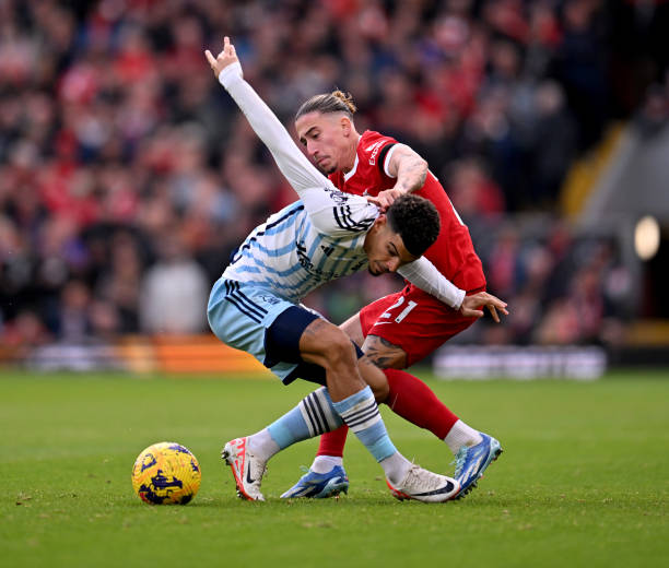 翘首以盼的 翘首以盼的