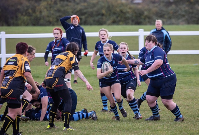 到应对詹姆 到应对詹姆