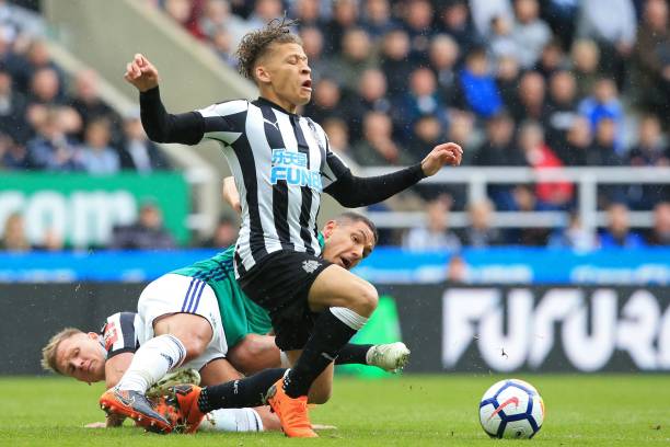 能够在像意 能够在像意