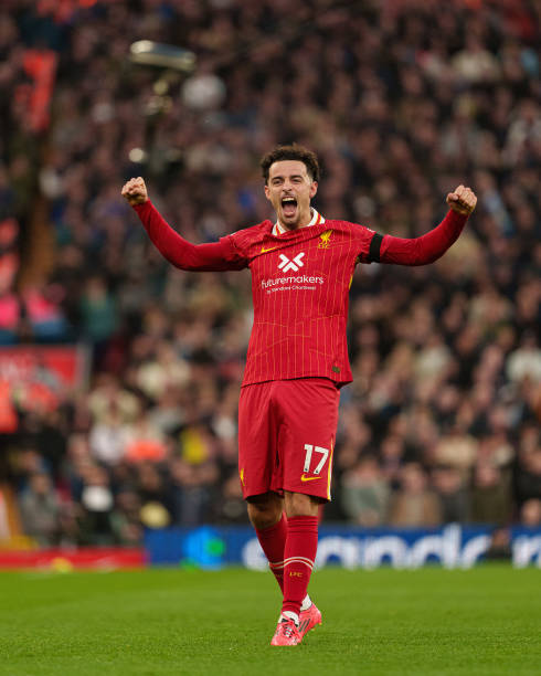 动向不仅关 动向不仅关