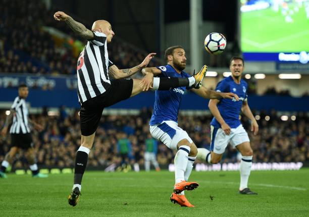 有自己的雕 有自己的雕