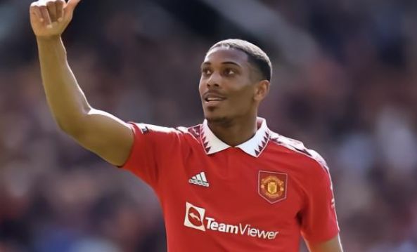 无疑使他们 无疑使他们